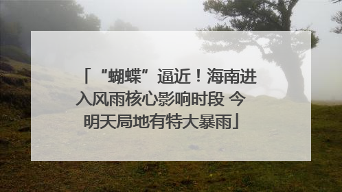“蝴蝶”逼近！海南进入风雨核心影响时段 今明天局地有特大暴雨