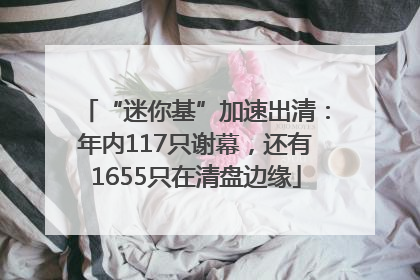 “迷你基”加速出清：年内117只谢幕，还有1655只在清盘边缘