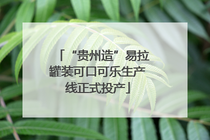 “贵州造”易拉罐装可口可乐生产线正式投产