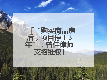 “购买商品房后，项目停工3年”，曾佳律师支招维权