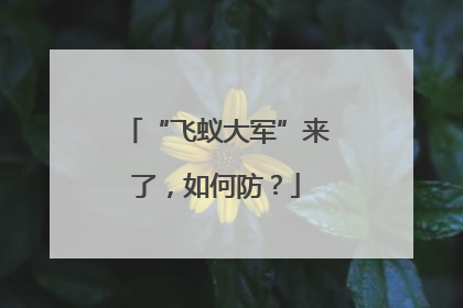 “飞蚁大军”来了，如何防？