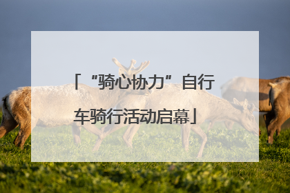 “骑心协力”自行车骑行活动启幕
