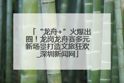 “龙舟+”火爆出圈！龙岗龙舟赛多元新场景打造文旅狂欢_深圳新闻网