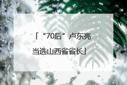“70后”卢东亮当选山西省省长