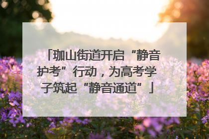 珈山街道开启“静音护考”行动，为高考学子筑起“静音通道”
