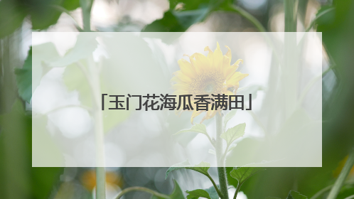 玉门花海瓜香满田