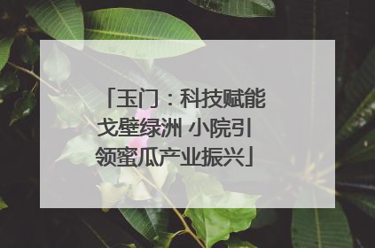 玉门：科技赋能戈壁绿洲 小院引领蜜瓜产业振兴