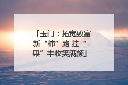 玉门：拓宽致富新“柿”路 挂“果”丰收笑满颜