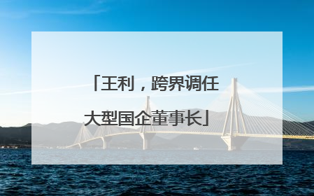 王利，跨界调任大型国企董事长