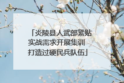 炎陵县人武部紧贴实战需求开展集训 打造过硬民兵队伍