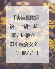 炎陵县霞阳镇：“耕”新聚力护粮仓 筑牢粮食安全“压舱石”