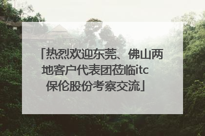 热烈欢迎东莞、佛山两地客户代表团莅临itc保伦股份考察交流