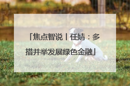 焦点智说丨任婧：多措并举发展绿色金融
