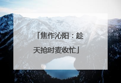 焦作沁阳：趁天抢时麦收忙