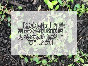爱心同行丨潍柴雷沃公益机收联盟为特殊家庭解燃“麦”之急