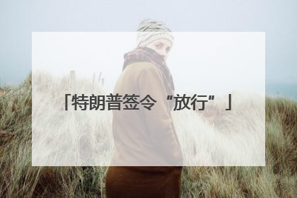 特朗普签令“放行”