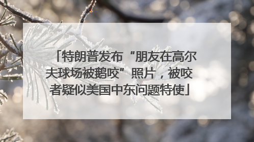 特朗普发布“朋友在高尔夫球场被鹅咬”照片，被咬者疑似美国中东问题特使