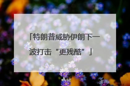 特朗普威胁伊朗下一波打击“更残酷”