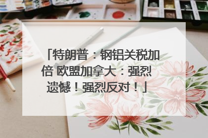 特朗普：钢铝关税加倍 欧盟加拿大：强烈遗憾！强烈反对！