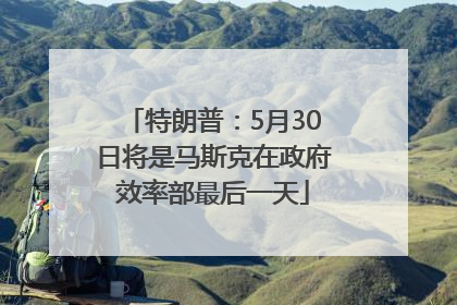 特朗普：5月30日将是马斯克在政府效率部最后一天