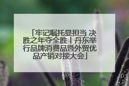 牢记嘱托显担当 决胜之年夺全胜丨丹东举行品牌消费品暨外贸优品产销对接大会