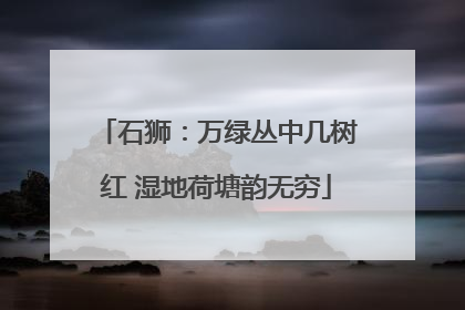 石狮：万绿丛中几树红 湿地荷塘韵无穷