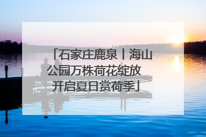 石家庄鹿泉丨海山公园万株荷花绽放 开启夏日赏荷季