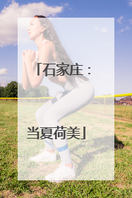 石家庄：当夏荷美