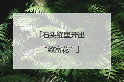 石头缝里开出“致富花”