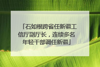 石如根跨省任新疆工信厅副厅长，连续多名年轻干部调任新疆