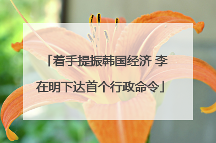 着手提振韩国经济 李在明下达首个行政命令