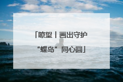 瞭望丨画出守护“蝶岛”同心圆