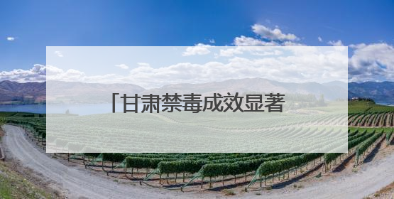 甘肃禁毒成效显著：高压严打与全民防控构筑安全防线