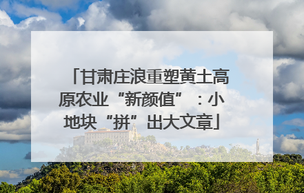 甘肃庄浪重塑黄土高原农业“新颜值”：小地块“拼”出大文章