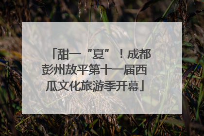 甜一“夏”！成都彭州敖平第十一届西瓜文化旅游季开幕