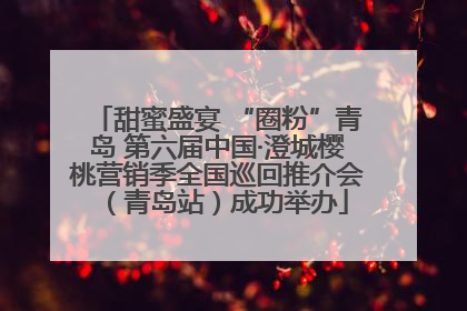 甜蜜盛宴 “圈粉”青岛 第六届中国·澄城樱桃营销季全国巡回推介会（青岛站）成功举办