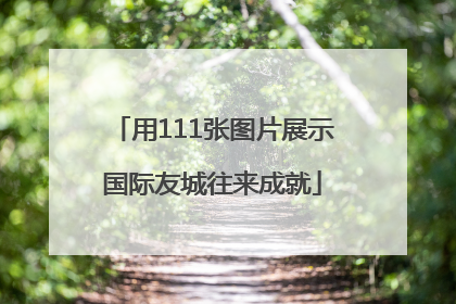 用111张图片展示国际友城往来成就
