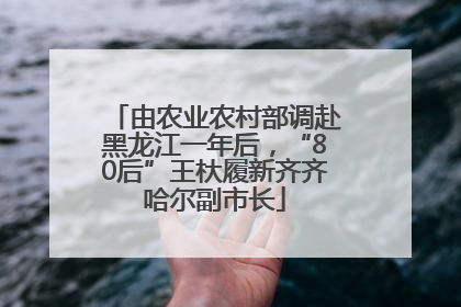 由农业农村部调赴黑龙江一年后，“80后”王杕履新齐齐哈尔副市长