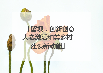 留坝：创新创意大赛激活和美乡村建设新动能