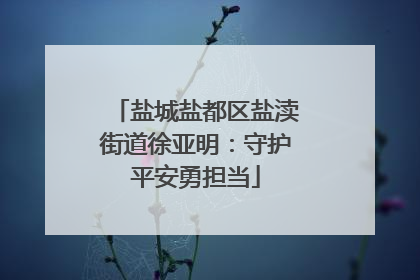 盐城盐都区盐渎街道徐亚明：守护平安勇担当