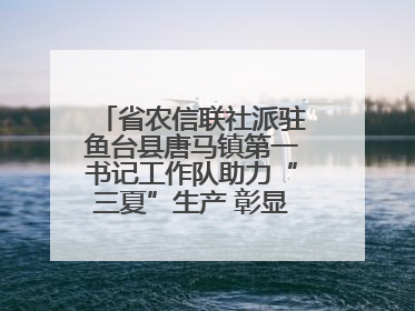省农信联社派驻鱼台县唐马镇第一书记工作队助力“三夏”生产 彰显为民担当