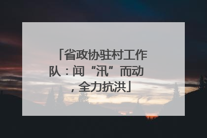省政协驻村工作队：闻“汛”而动，全力抗洪