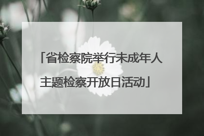 省检察院举行未成年人主题检察开放日活动