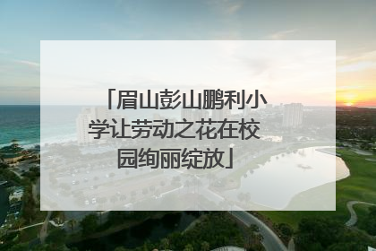 眉山彭山鹏利小学让劳动之花在校园绚丽绽放