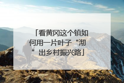 看黄冈这个镇如何用一片叶子“沏”出乡村振兴路