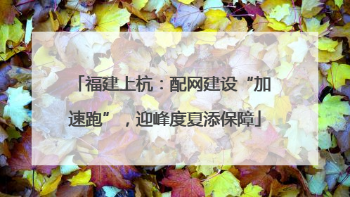 福建上杭：配网建设“加速跑”，迎峰度夏添保障