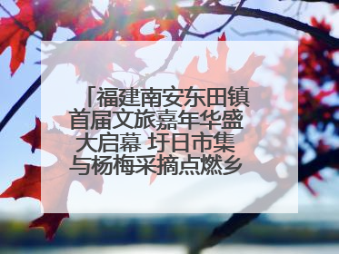 福建南安东田镇首届文旅嘉年华盛大启幕 圩日市集与杨梅采摘点燃乡村振兴新动能