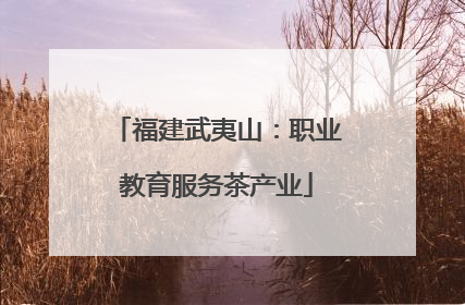 福建武夷山：职业教育服务茶产业
