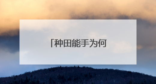 种田能手为何从容“放手”（三夏进行时）