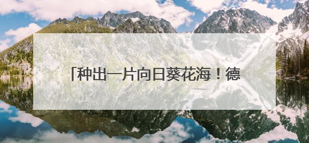 种出一片向日葵花海！德阳中学初一学子祝福高三学长学姐“一举夺魁”